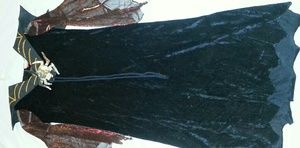 Girls size 4-6 spider witch costume 2 pcs